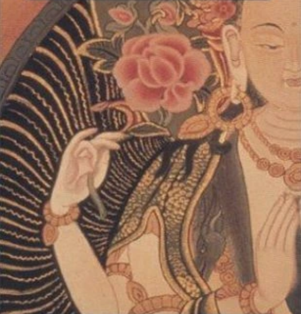la saggezza di Pema Chödrön